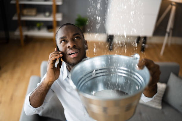Best Water damage contractors near me  in Peculiar, MO