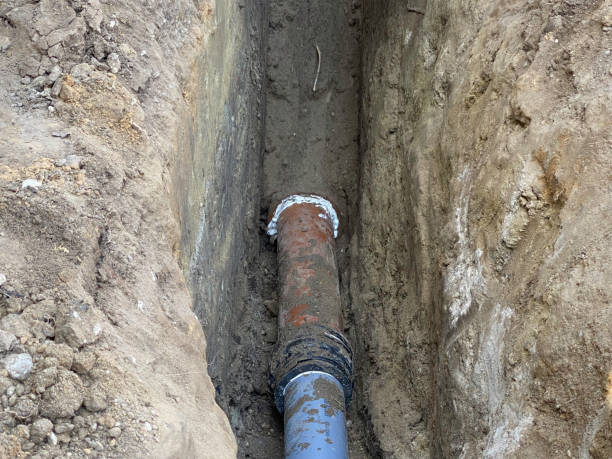 Best Basement water damage restoration  in Peculiar, MO