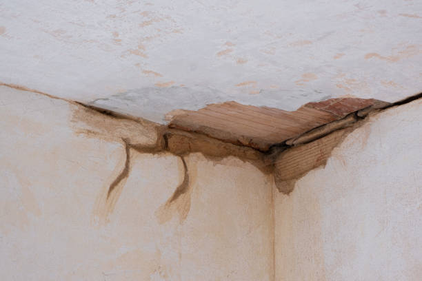 Best Ceiling water damage repair  in Peculiar, MO