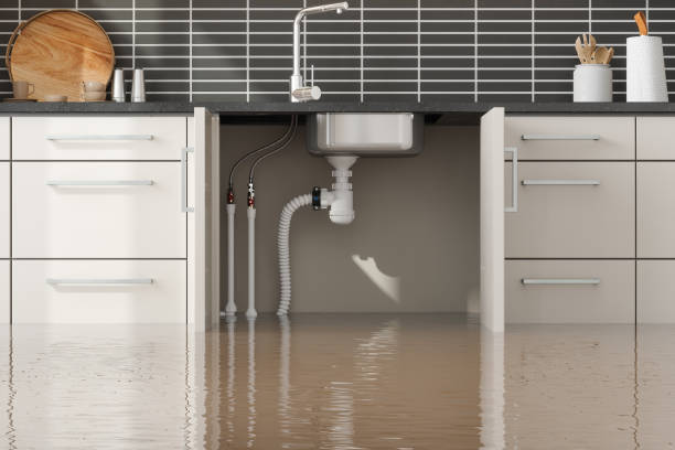 Best Flood damage cleanup  in Peculiar, MO