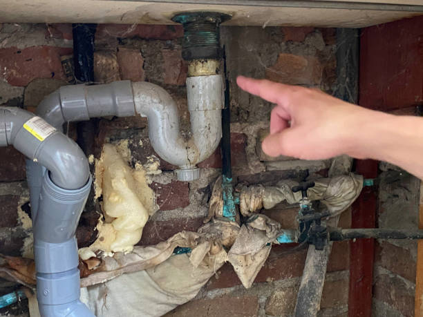Best Emergency water damage restoration  in Peculiar, MO